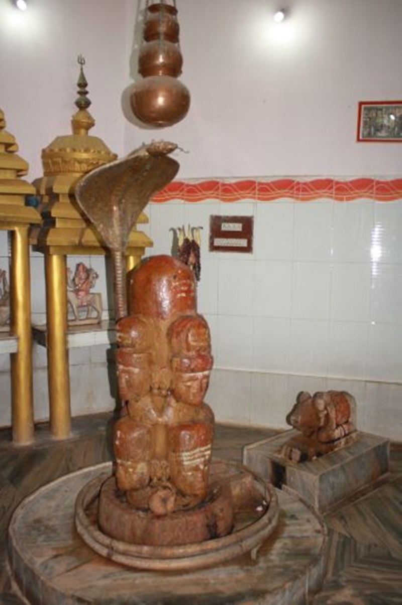 naidunia_image